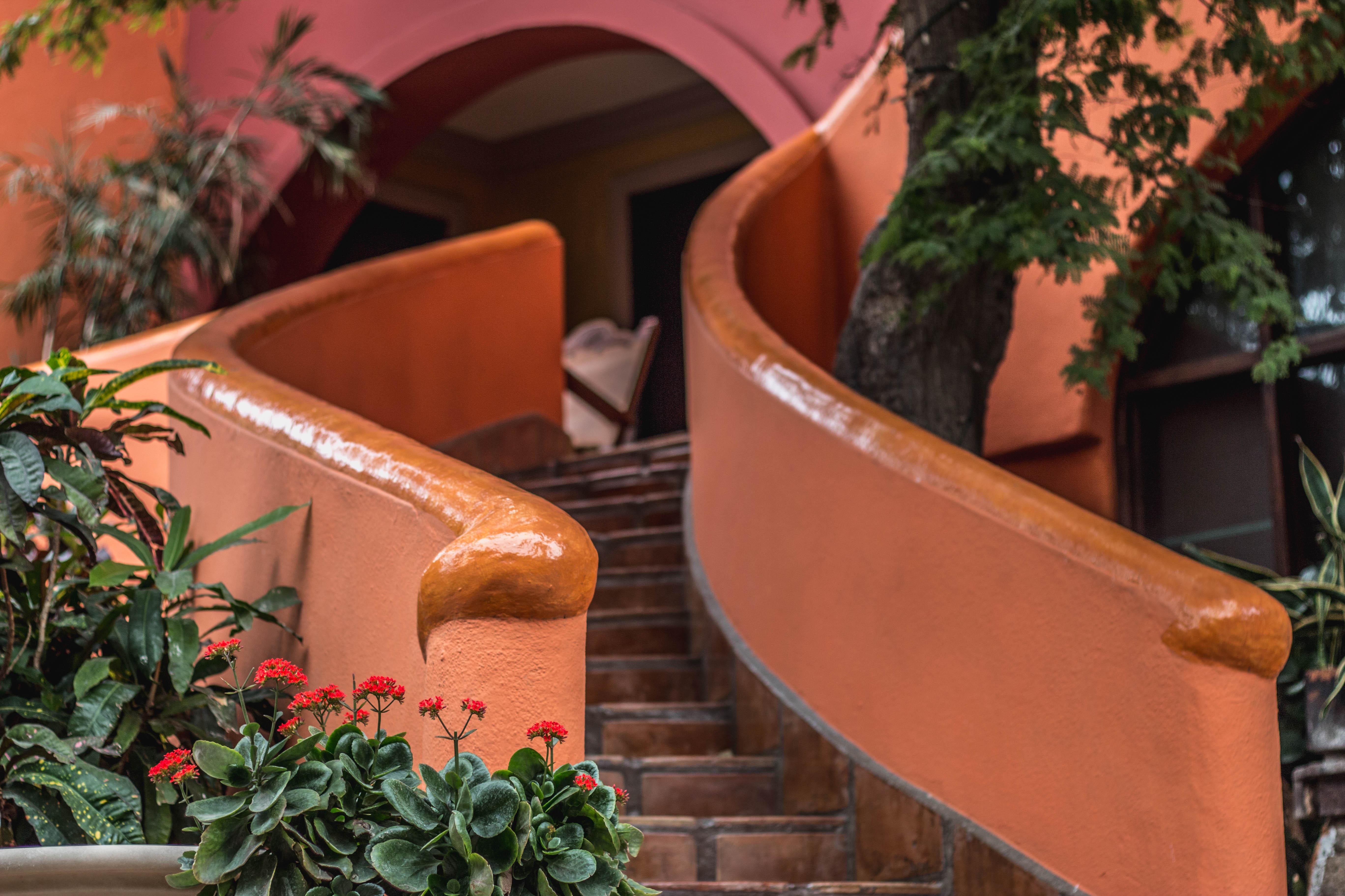 Collection O Casa Bella Hotel Boutique, カボ・サン・ルーカス エクステリア 写真