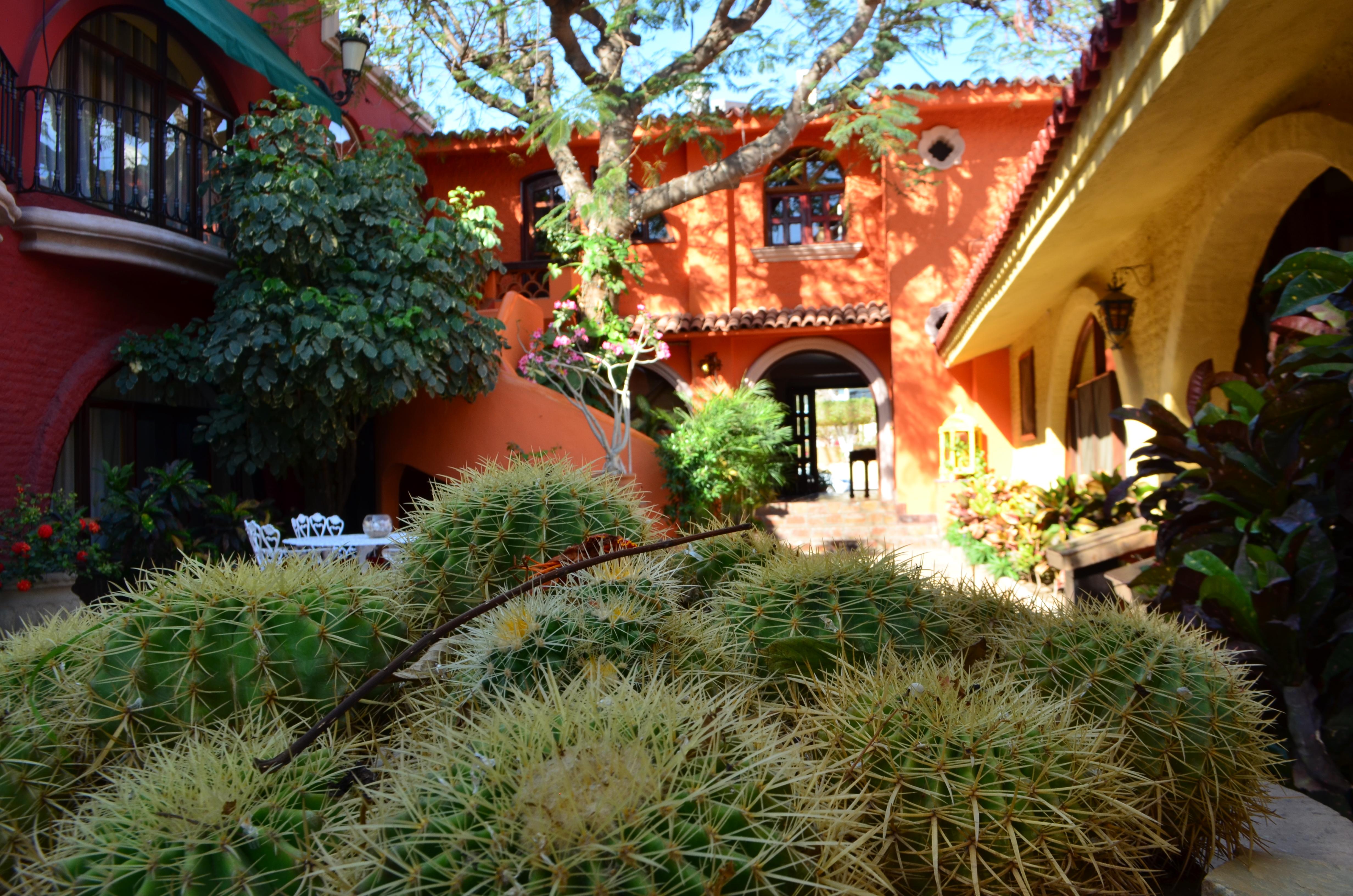 Collection O Casa Bella Hotel Boutique, カボ・サン・ルーカス エクステリア 写真