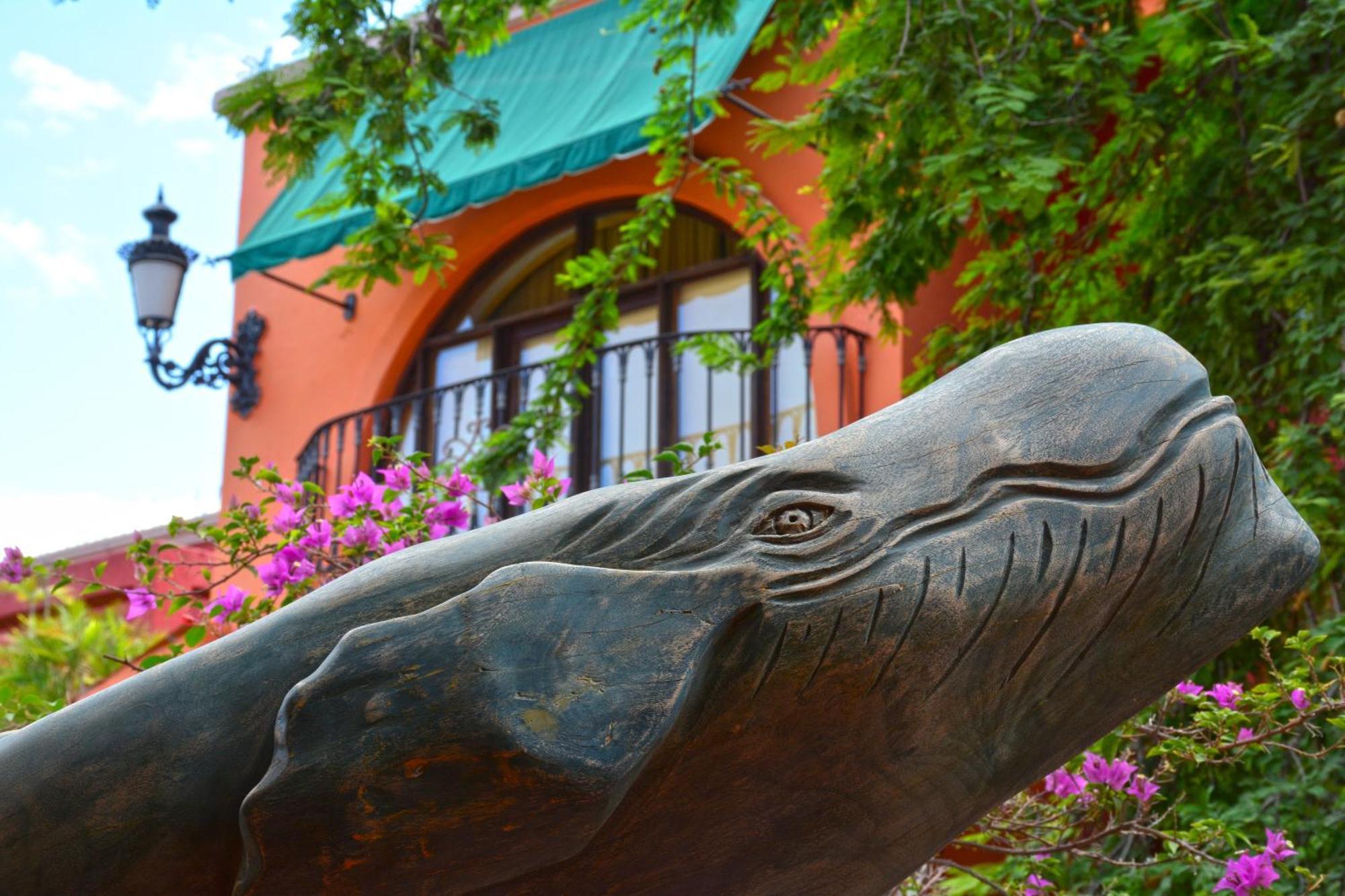 Collection O Casa Bella Hotel Boutique, カボ・サン・ルーカス エクステリア 写真