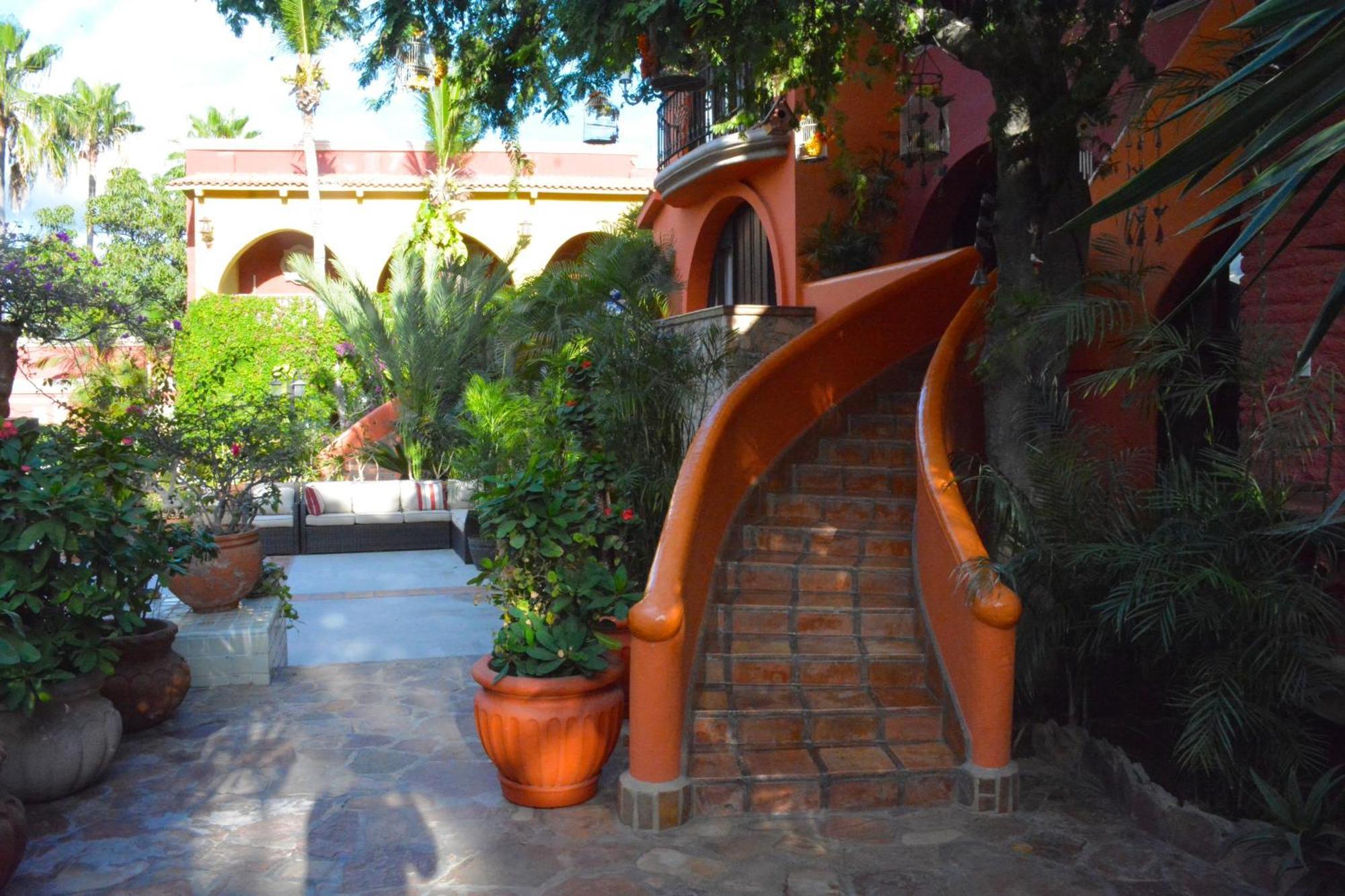 Collection O Casa Bella Hotel Boutique, カボ・サン・ルーカス エクステリア 写真
